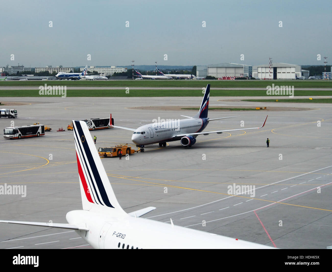 VP-BWF (aeromobili) presso l'Aeroporto Internazionale di Sheremetyevo Foto Stock