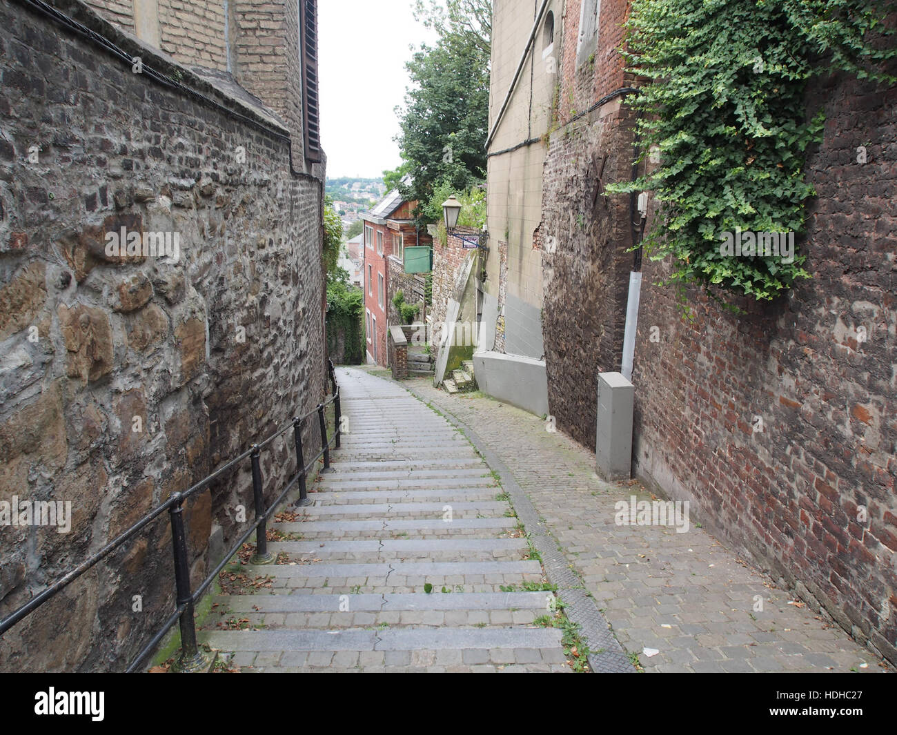 Questa opera d'arte intitolata "Au Perl" presenta una rappresentazione dettagliata del mondo naturale, catturando un momento nella natura. Il pezzo riflette l'attenzione dell'artista sulle forme organiche e la bellezza naturale, sottolineando l'armonia e la semplicità. Foto Stock