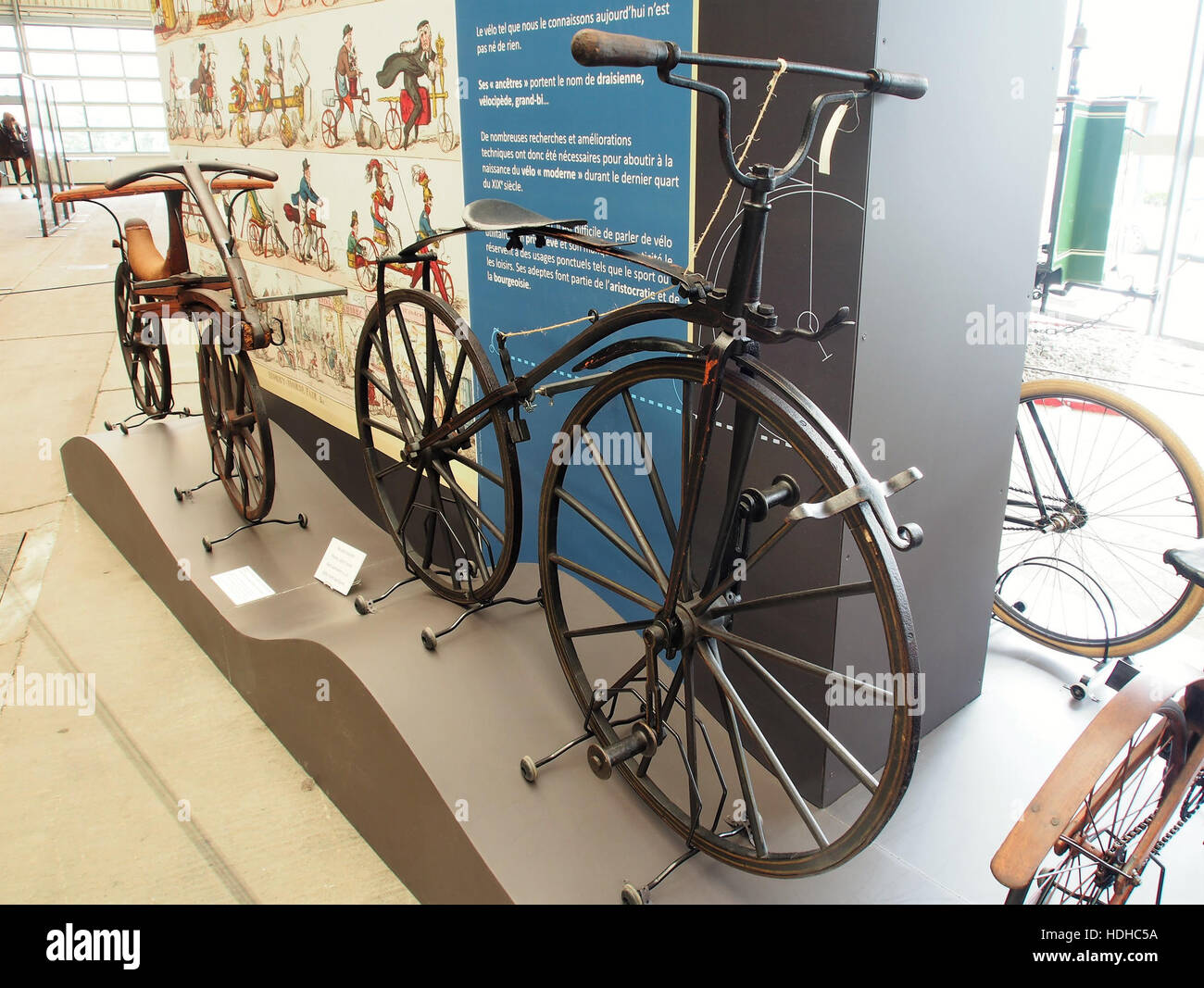 Questa immagine raffigura una bicicletta d'epoca (velo) esposta al Musée des Transports en Commun in Vallonia. Il museo espone una collezione di manufatti del trasporto, mettendo in evidenza l'evoluzione della tecnologia dei trasporti e il suo impatto sulla società, con la bicicletta che rappresenta una parte importante della storia dei primi trasporti. Foto Stock