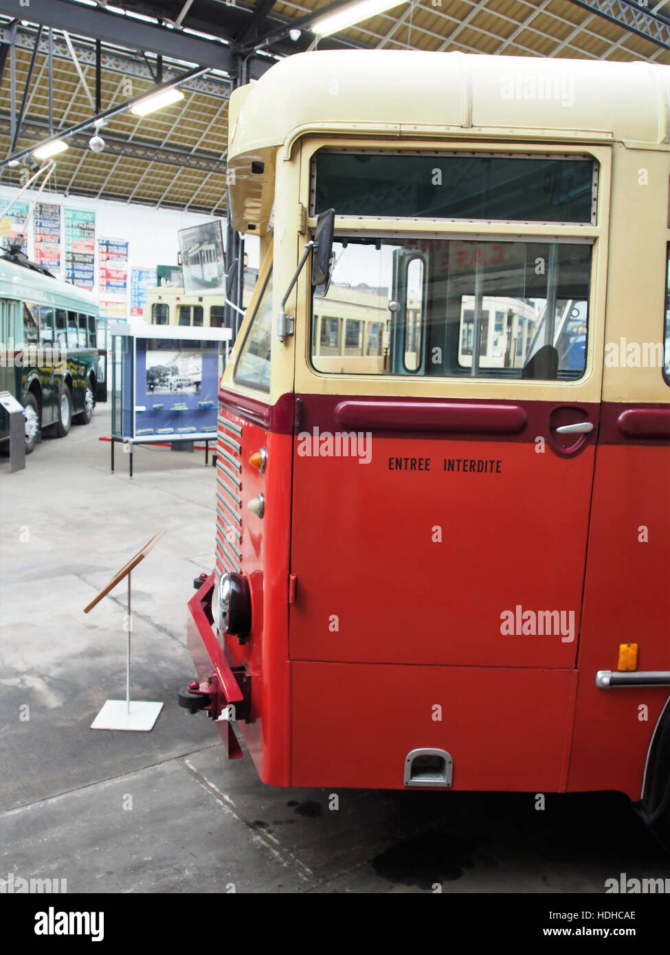 L'autobus SNCV, numerato 955, è stato prodotto da Jonckheere Brossel. Faceva parte della flotta belga Nationale des Chemins de fer Vicinaux, che forniva trasporto pubblico a metà del XX secolo. Foto Stock