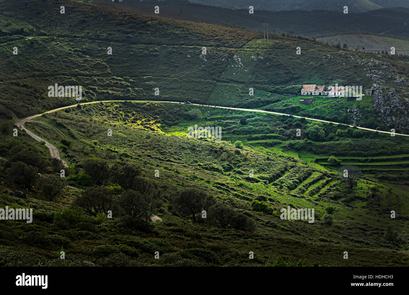 Casa e campi terrazzati, Foia, Algarve, PORTOGALLO Foto Stock