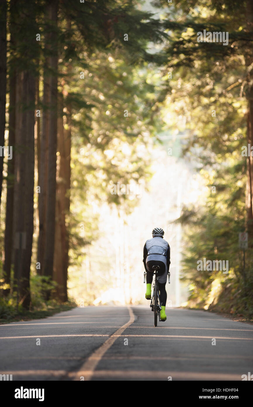 Vista posteriore del ciclista equitazione bicicletta su strada da alberi Foto Stock