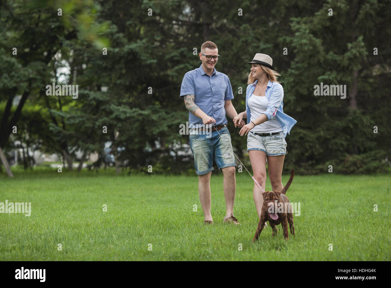 Una giovane coppia a piedi la loro Shar-pei/Staffordshire Terrier in un parco Foto Stock