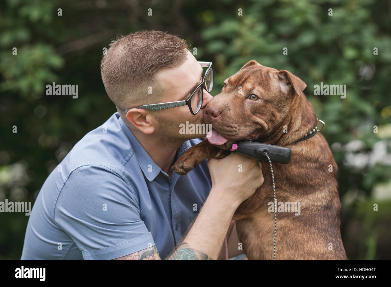 Un giovane uomo di baciare il suo Staffordshire Terrier/Shar-Pei cane, close-up Foto Stock