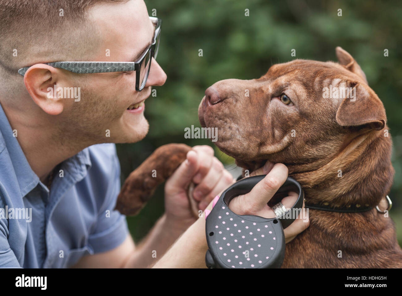 Un giovane uomo sorridente al suo Staffordshire Terrier/Shar-Pei cane, close-up Foto Stock