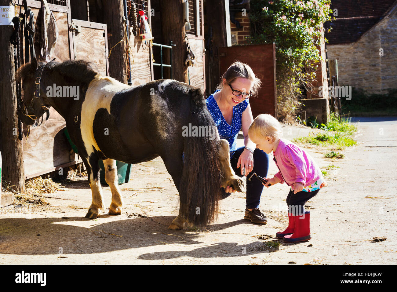 Scarpa pony shop