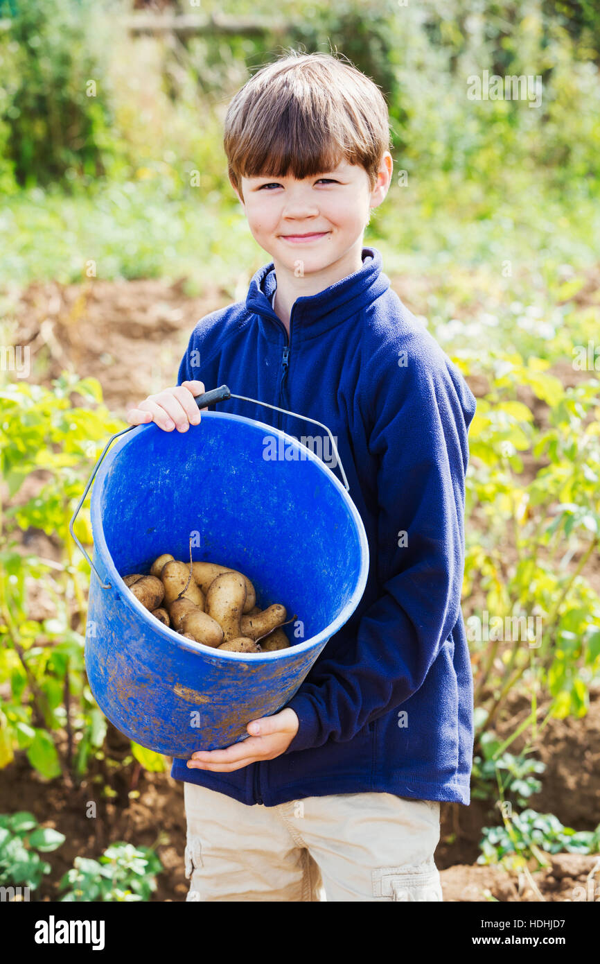 Un ragazzo tenendo un secchio di patate in un campo. Foto Stock