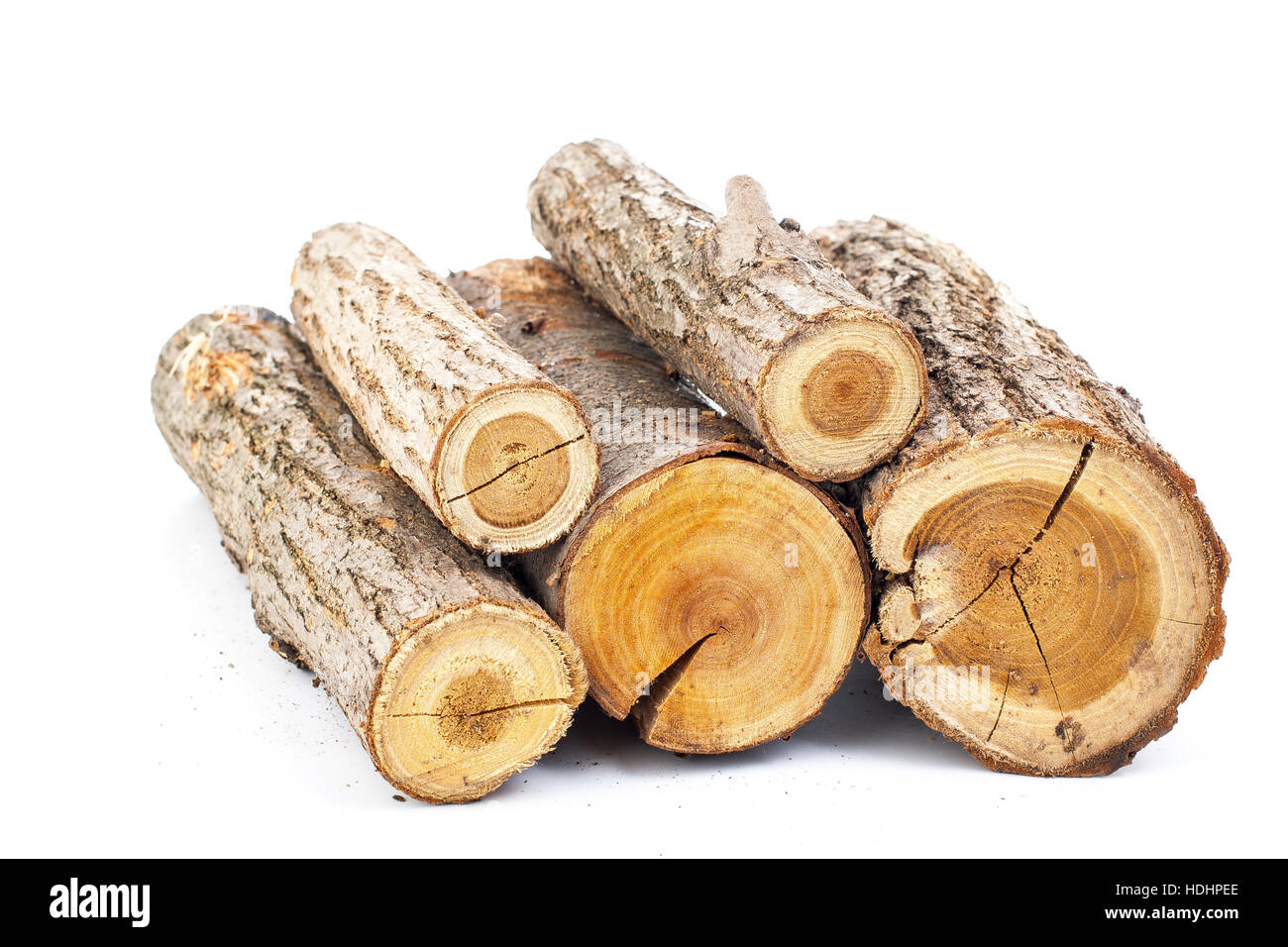 I registri di pino su sfondo bianco. Studio foto. Spaccare la legna. Albero di quercia per il periodo invernale riscaldamento. Sezione di tronco di albero.Legna da ardere Foto Stock