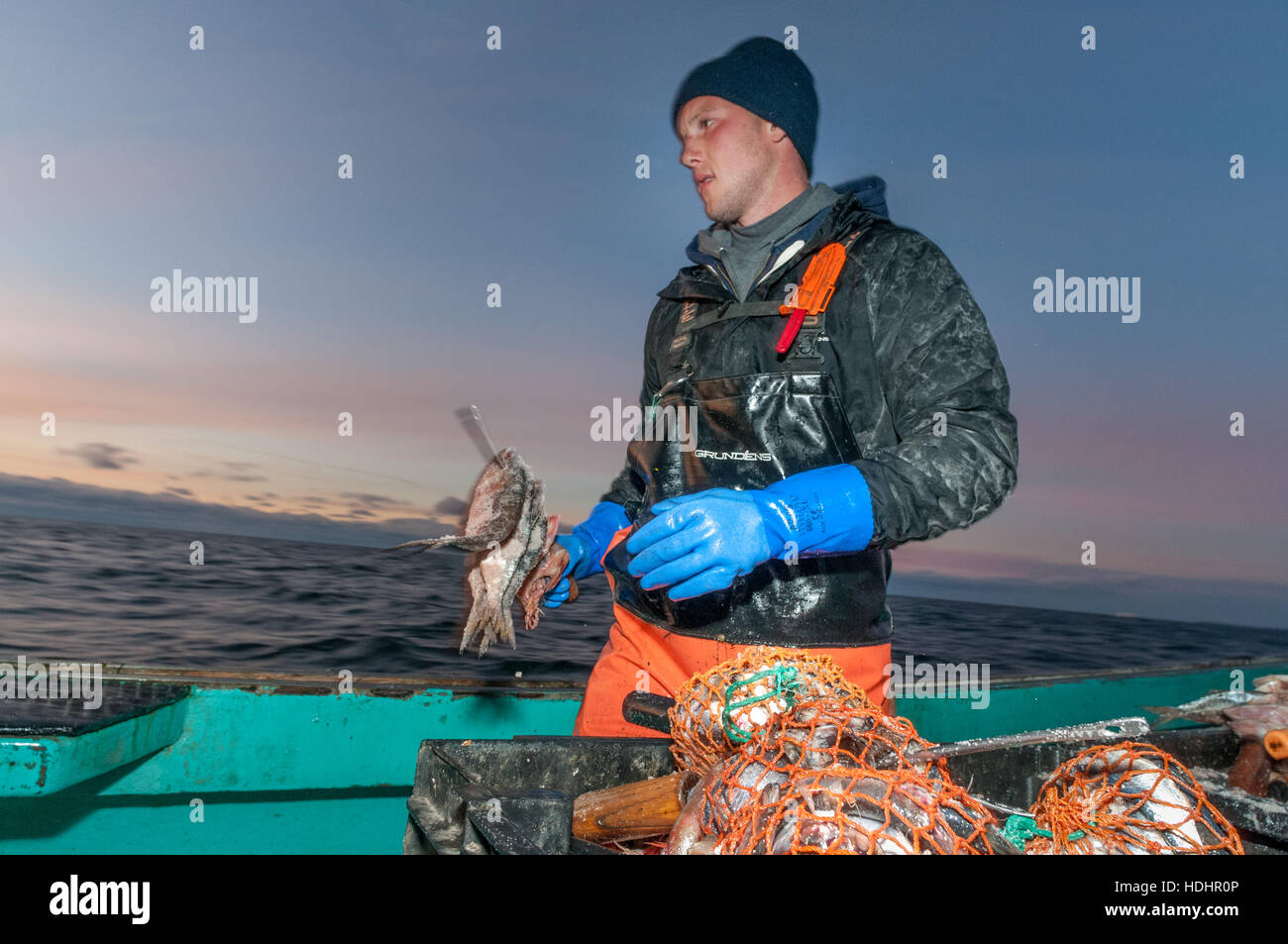 Lobsterman si prepara a esca trappola, Yarmouth,ME; Foto Stock