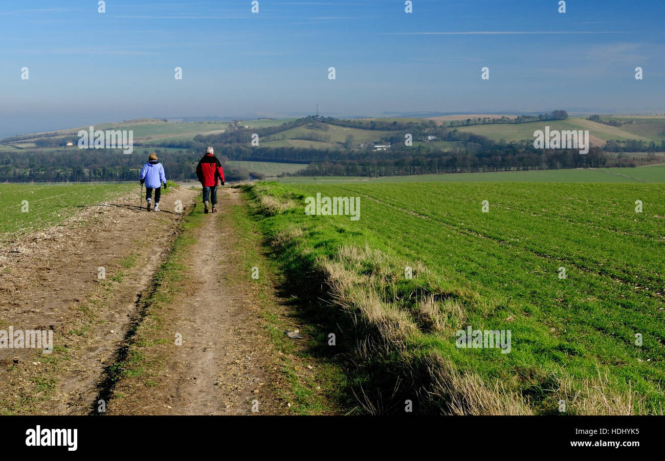 Walkers a seguito di una bridleway tra campi attraverso Liddington Hill. Foto Stock