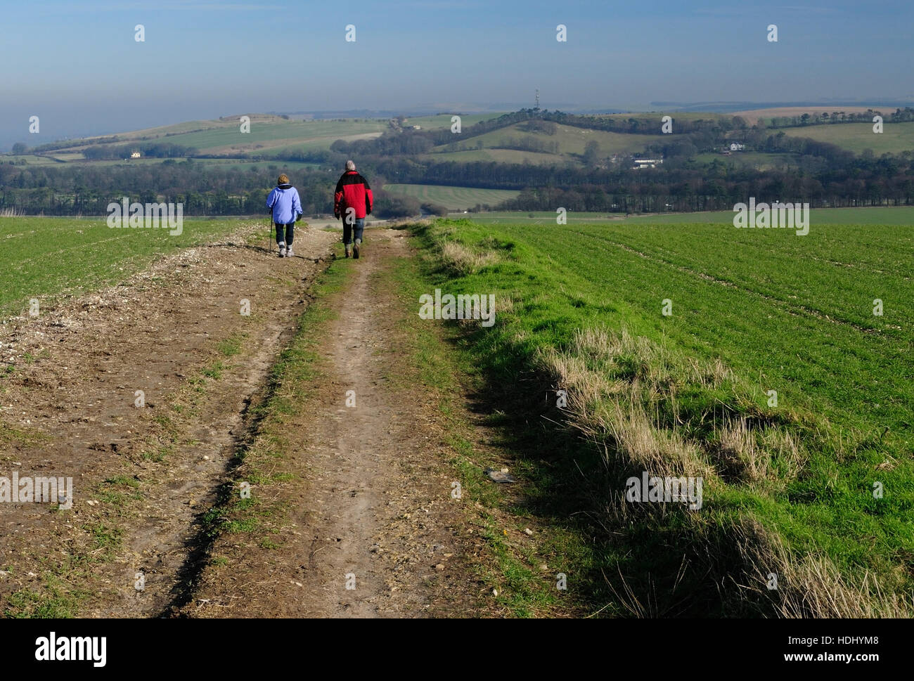 Walkers a seguito di una bridleway tra campi attraverso Liddington Hill. Foto Stock