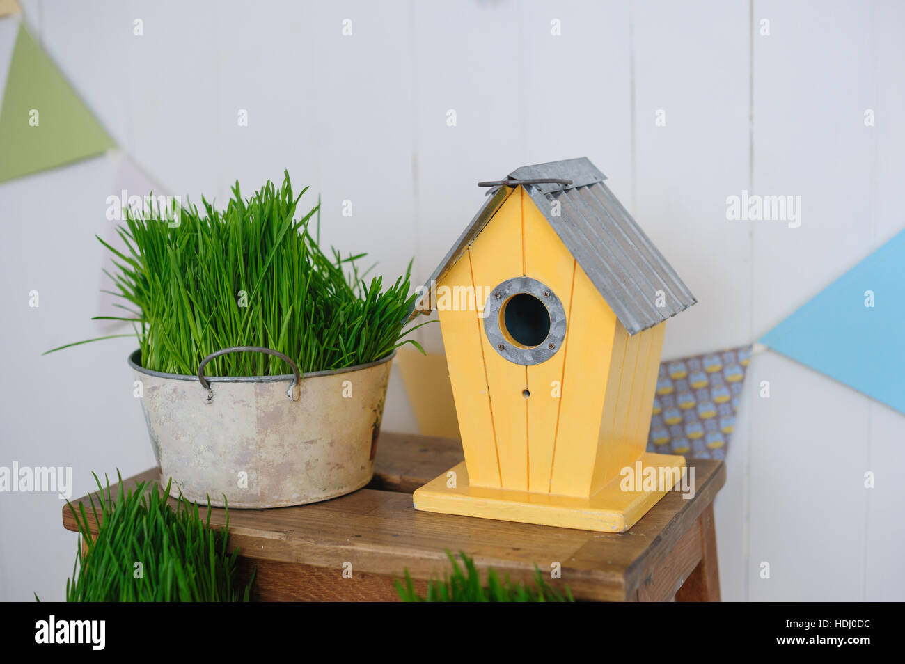 Birdhouse decorativi ed erba verde Foto Stock