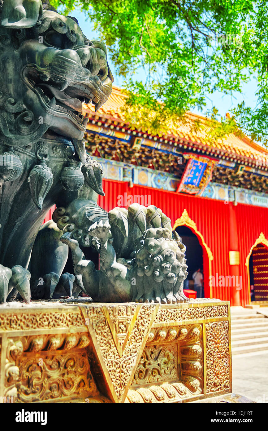 Leone di Bronzo all'entrata di Yonghegong bellissimo Tempio Lama.Pechino. Il Tempio dei Lama è uno dei più grandi ed importanti Buddista Tibetana monaste Foto Stock