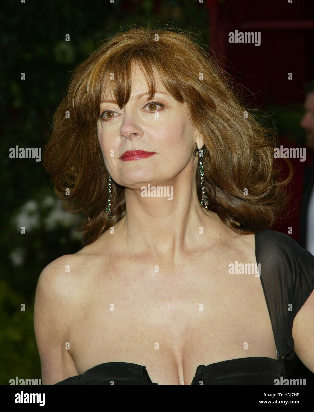 Susan Sarandon all'Academy Awards in Hollywood, la California il 29 febbraio 2004. Photo credit: Francesco Specker Foto Stock