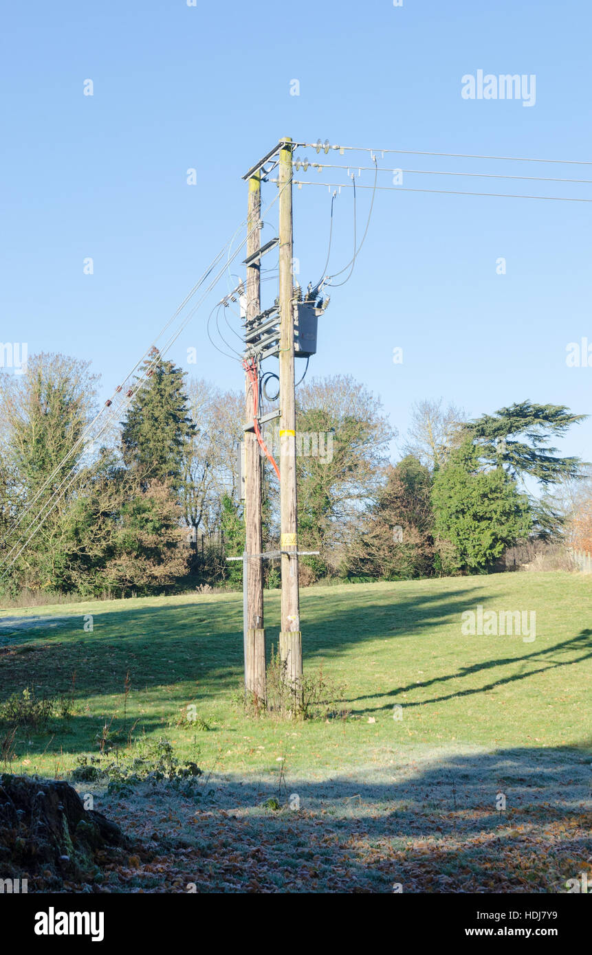 In legno antico pilone di elettricità in un campo di Much Wenlock, Shropshire, Regno Unito Foto Stock