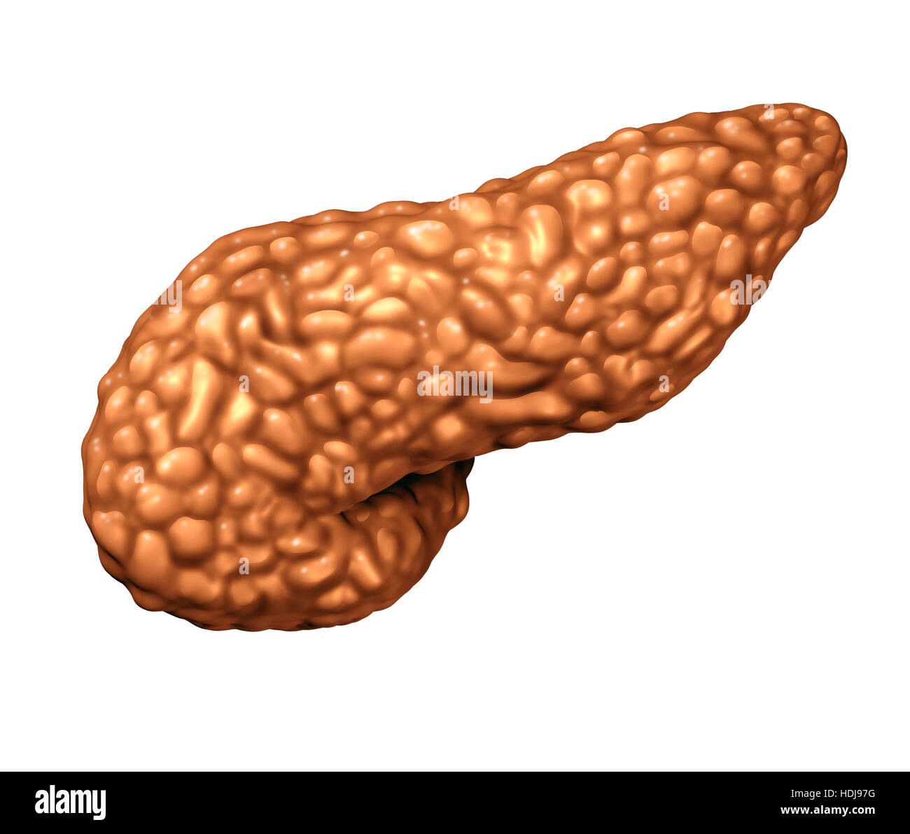 Il pancreas organo umano come un panceatic ghiandola digestiva parte del corpo come un simbolo di medici per il sistema endocrino isolato su uno sfondo bianco come un 3D illustra Foto Stock
