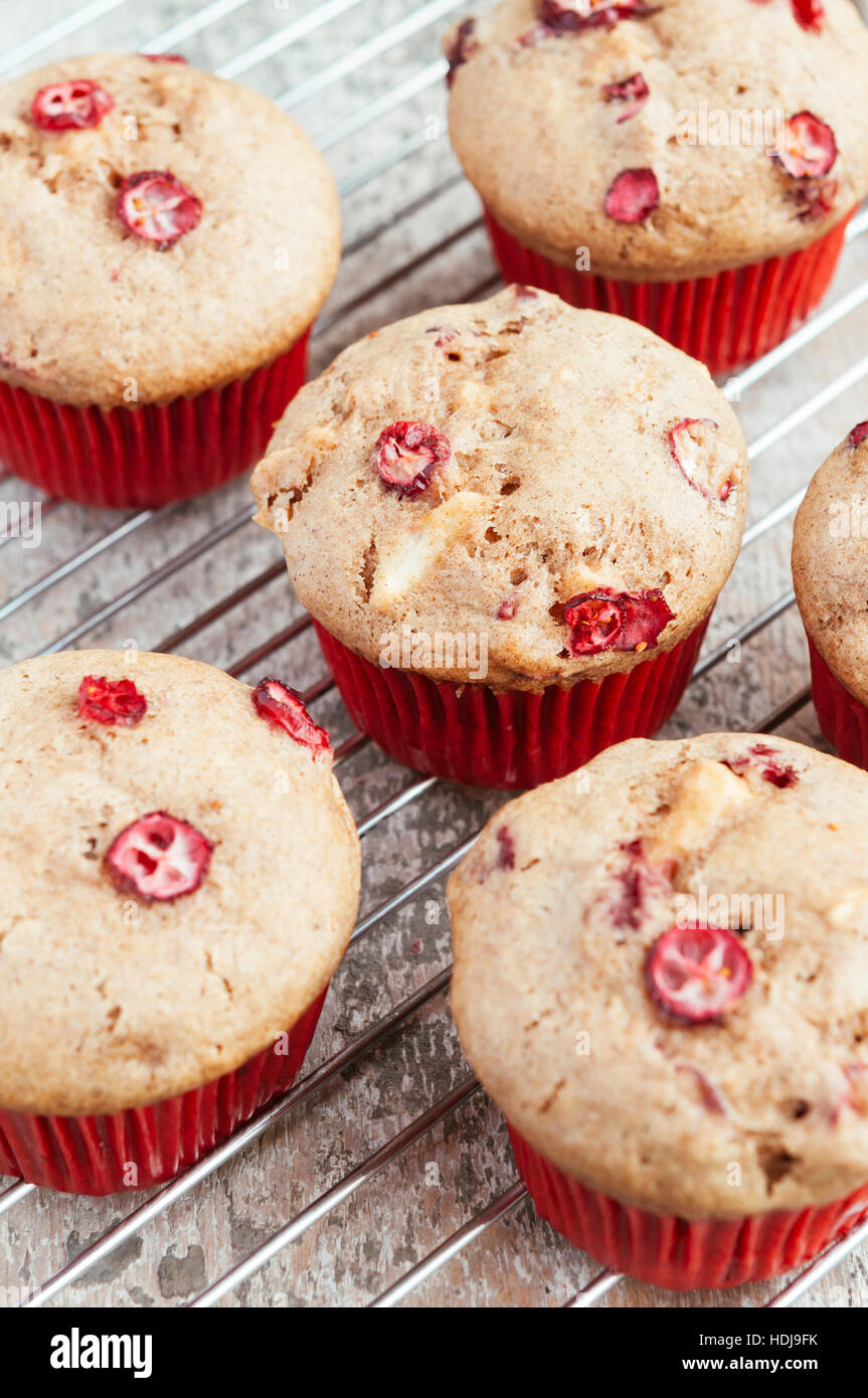 Vegano fatti in casa a base di mirtillo palustre muffin apple su una griglia di raffreddamento. Foto Stock