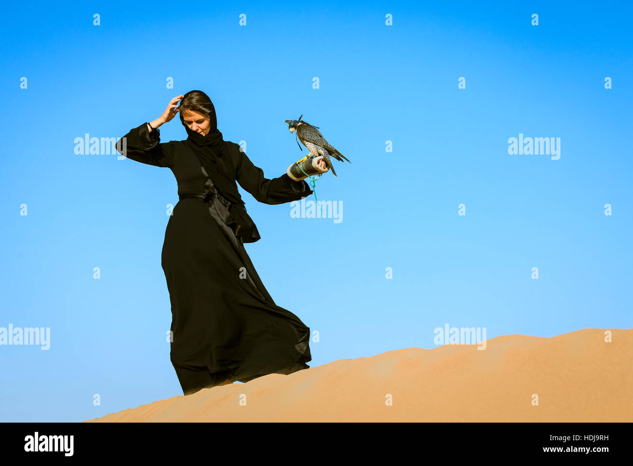Una donna in abaya con falco pellegrino in Dubai Desert Conservation Reserve, EMIRATI ARABI UNITI Foto Stock