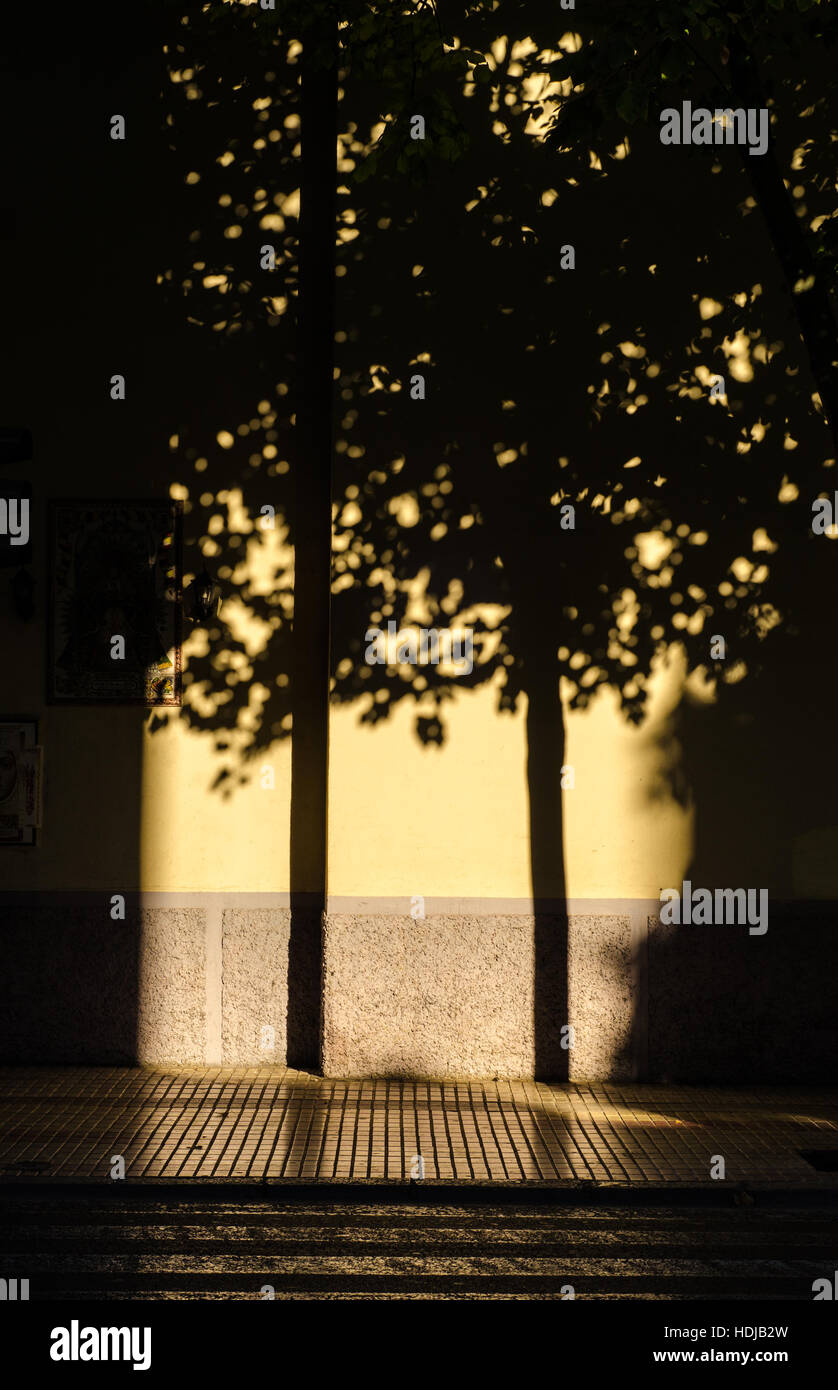 L'ombra di un albero è proiettato sul muro della chiesa di fronte a me. Foto Stock