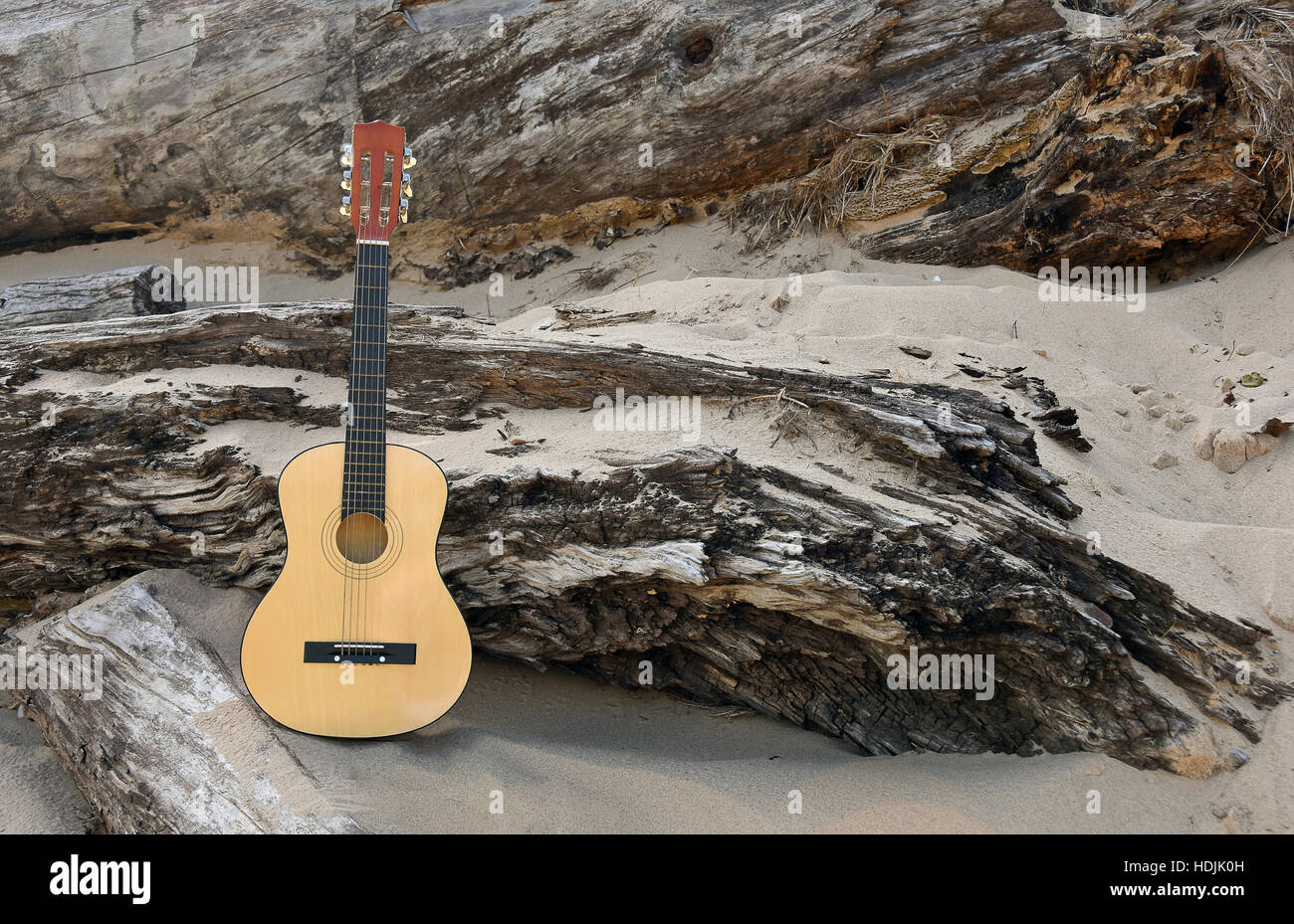 Six string chitarra in spiaggia di sabbia appoggiato su weathered driftwood Foto Stock