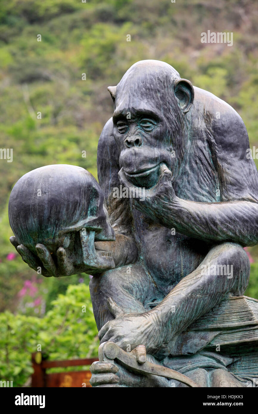 Monkey Island Research Park - un Gorilla di statua, da un grande bronzo-come la statua di una scimmia seduto su una pila di libri Foto Stock