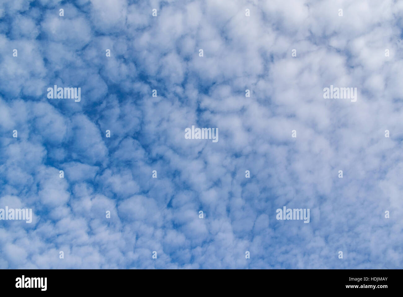 Nuvole bianche sul cielo blu sulla giornata di sole Foto Stock