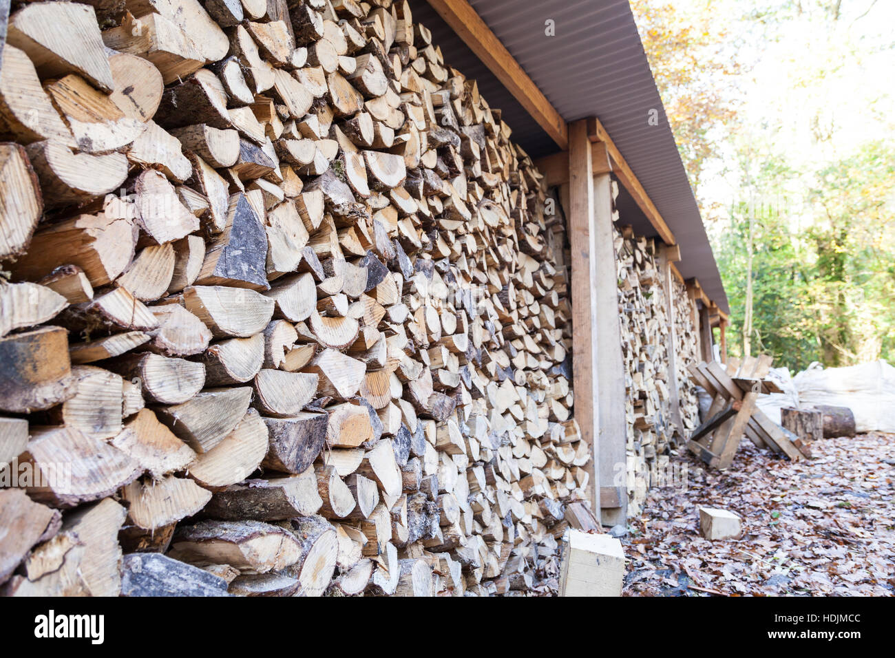 Taglio di legno pronto per l'uso in foresta Pengelli, Pembrokeshire Foto Stock