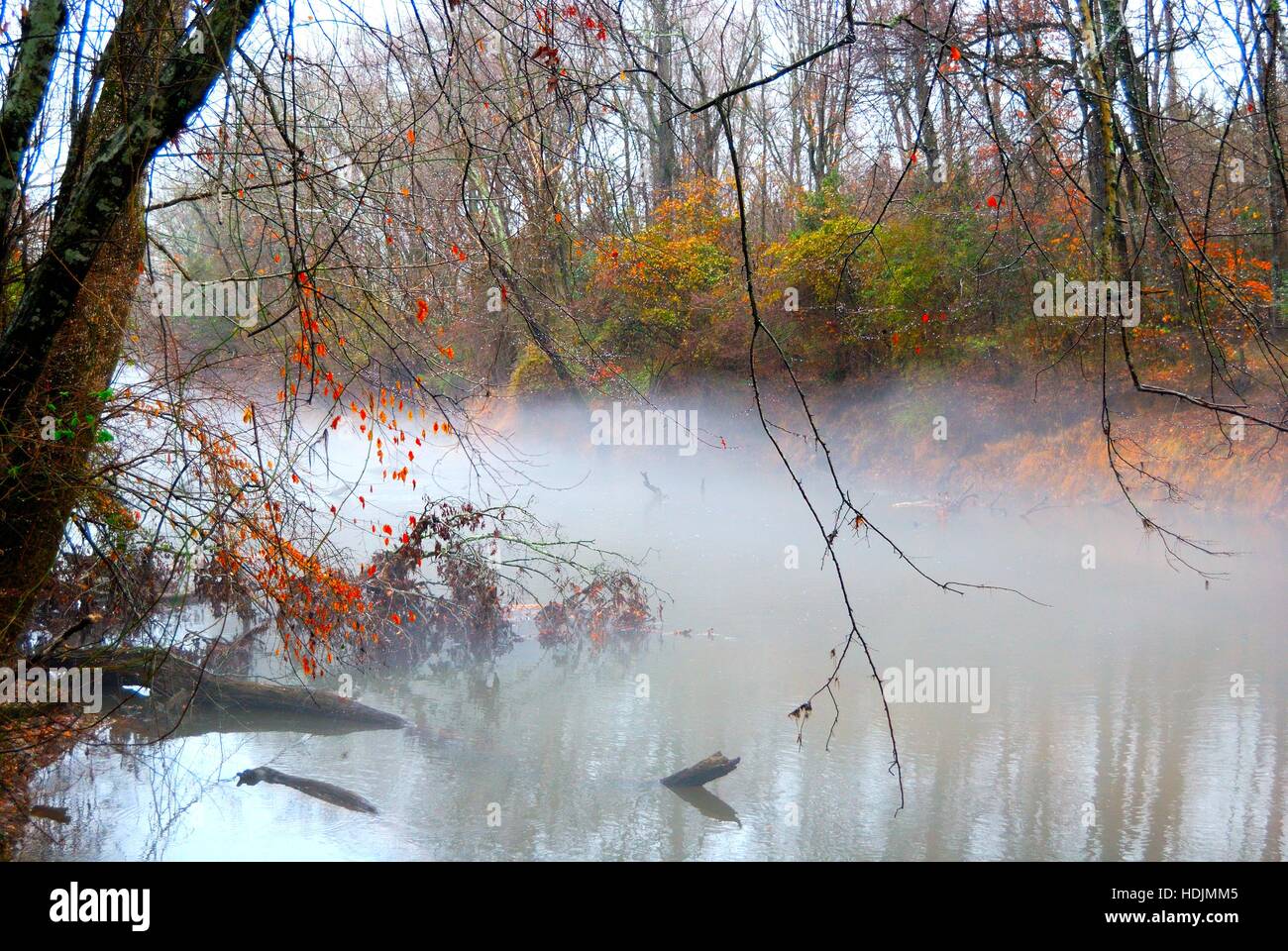 Paesaggio, Nottoway River, Stony Creek, Sussex County, Virginia, Stati Uniti d'America, dal libro 'My Virginia Rivers' da saranno Daniel Foto Stock