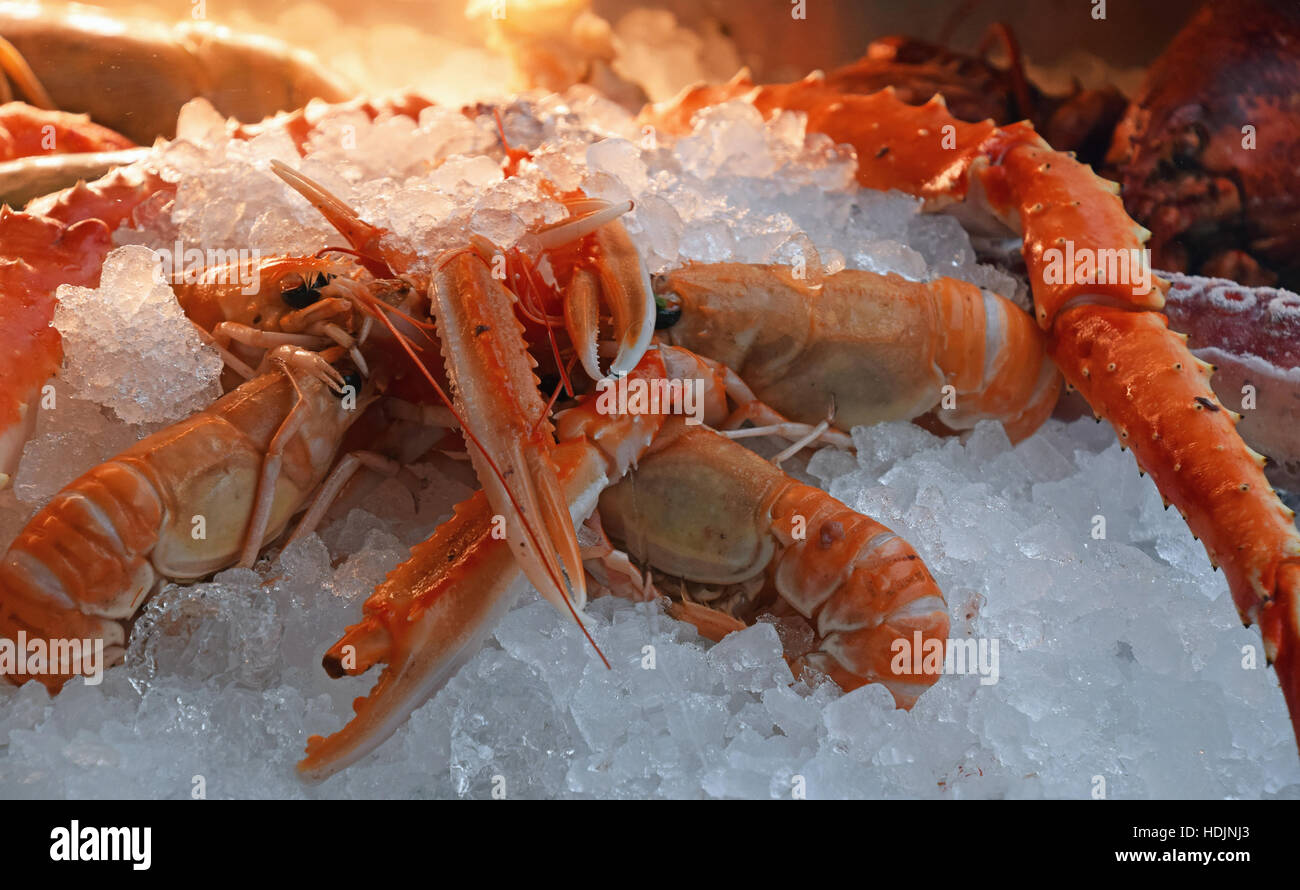 Il pescato di rosso gli scampi (Nephrops norvegicus, scampo, la baia di Dublino gamberi o scampi) su ghiaccio vicino al mercato retail display, basso angolo vi Foto Stock