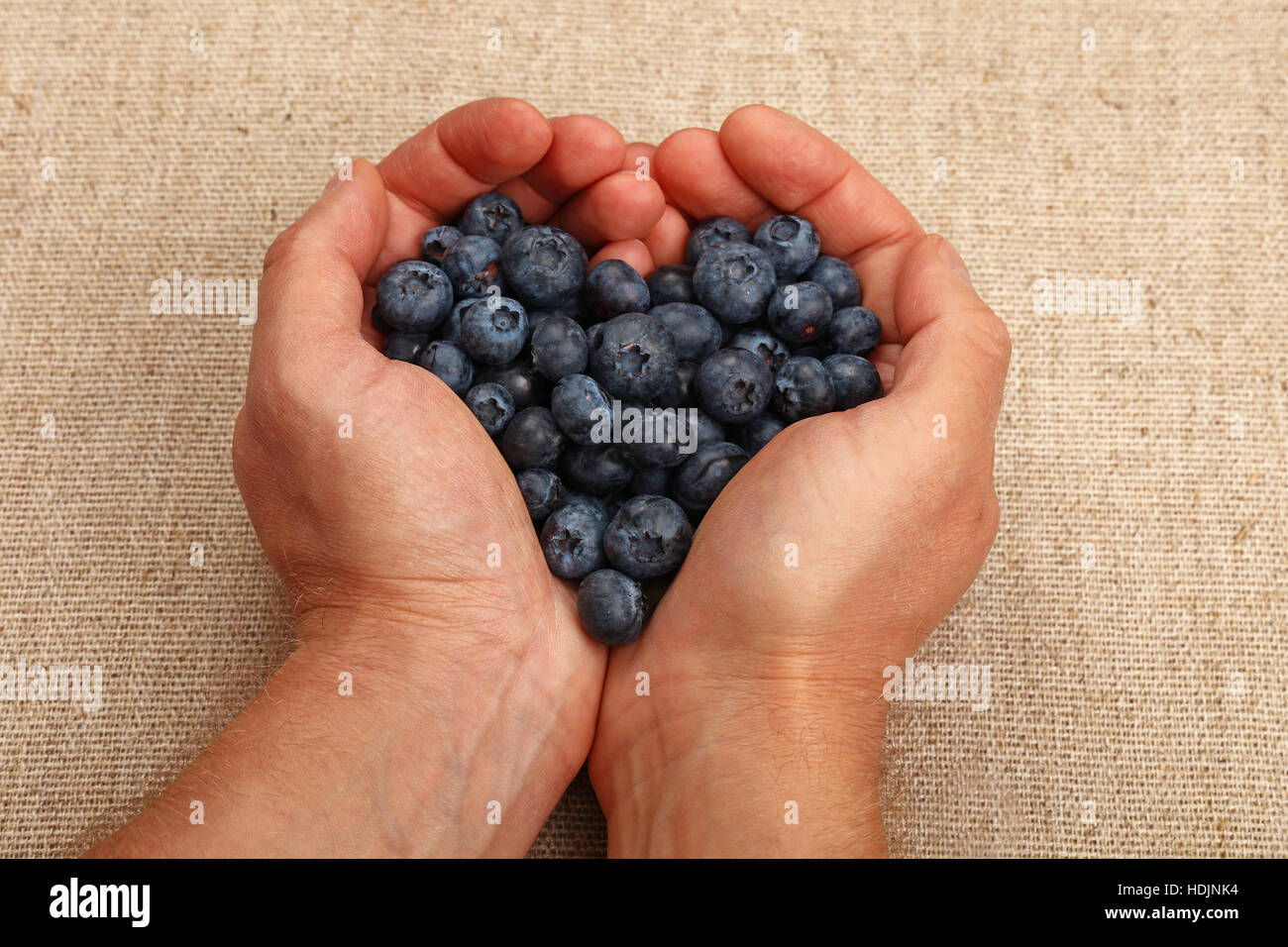 Due uomini con le mani a forma di cuore di palme azienda manciata di mirtilli maturi su tela, vicino ad alto angolo di visione, il punto di vista personale Foto Stock