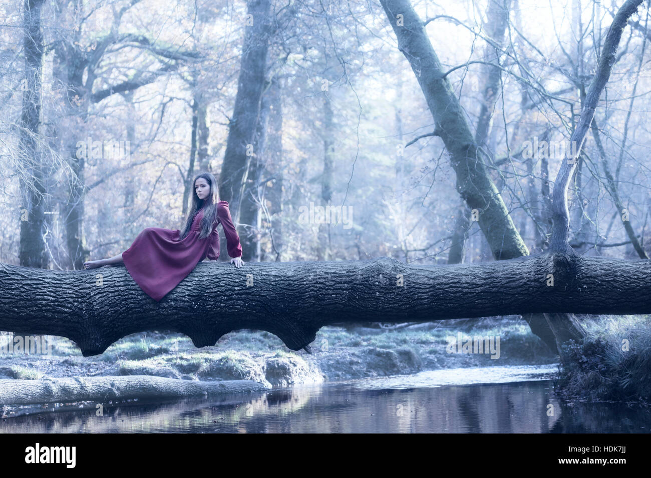 Una donna in un vestito viola è seduta su un tronco al di sopra di un fiume in inverno Foto Stock