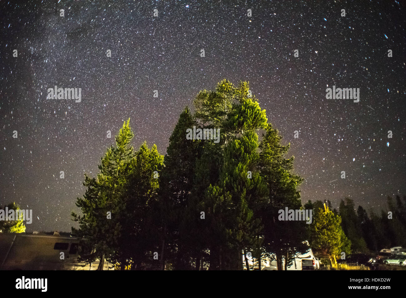Stelle, albero, cielo notturno, sky, cielo stellato, camping, roadtrip. Yellowstone, pietra gialla parco nazionale, inverno Foto Stock