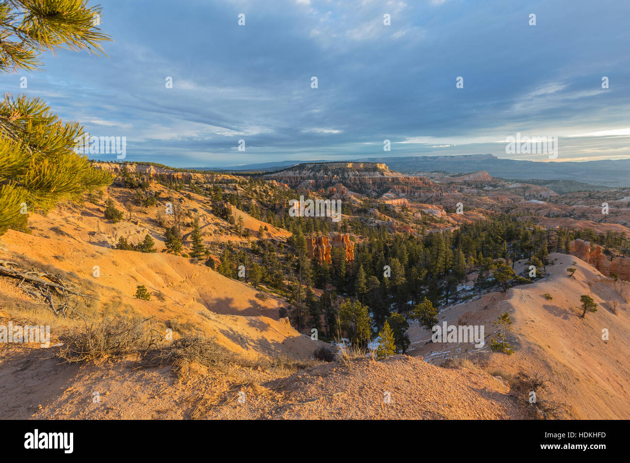 Mattino Nuvoloso vista da Rim Trail a Bryce Canyon National Park nel sud dello Utah. Foto Stock