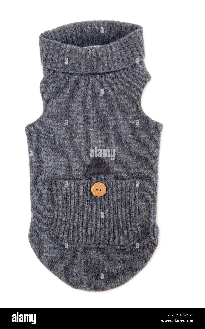 Singolo cane maglione isolare su bianco Foto Stock
