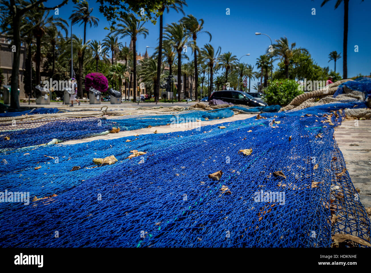 Pesca blu net funi disteso sul percorso di pietra nella città di Palma con fiori e palme Foto Stock