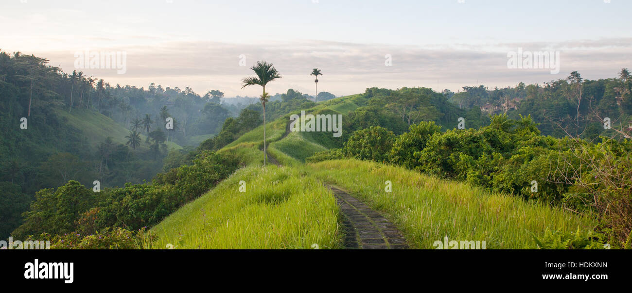 Champuhan ridge freschi al mattino presto Foto Stock