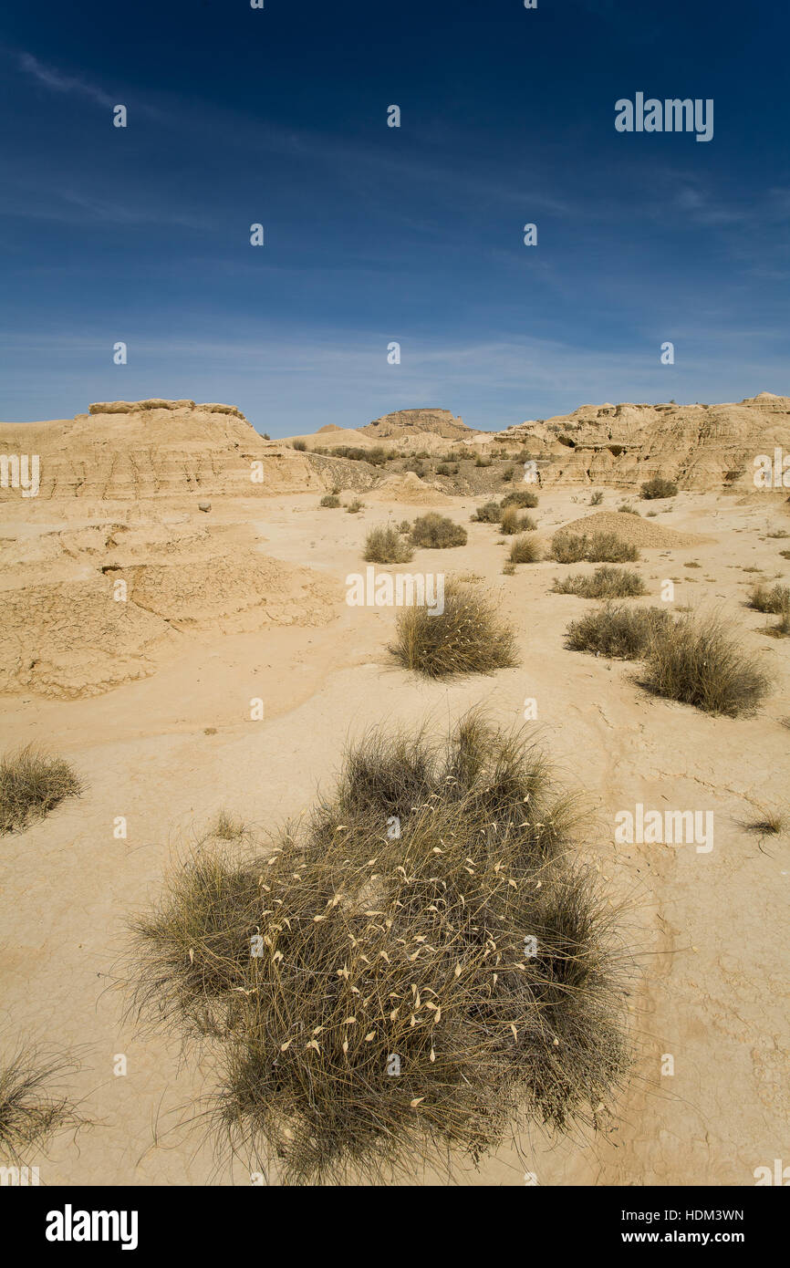 desertscape Foto Stock