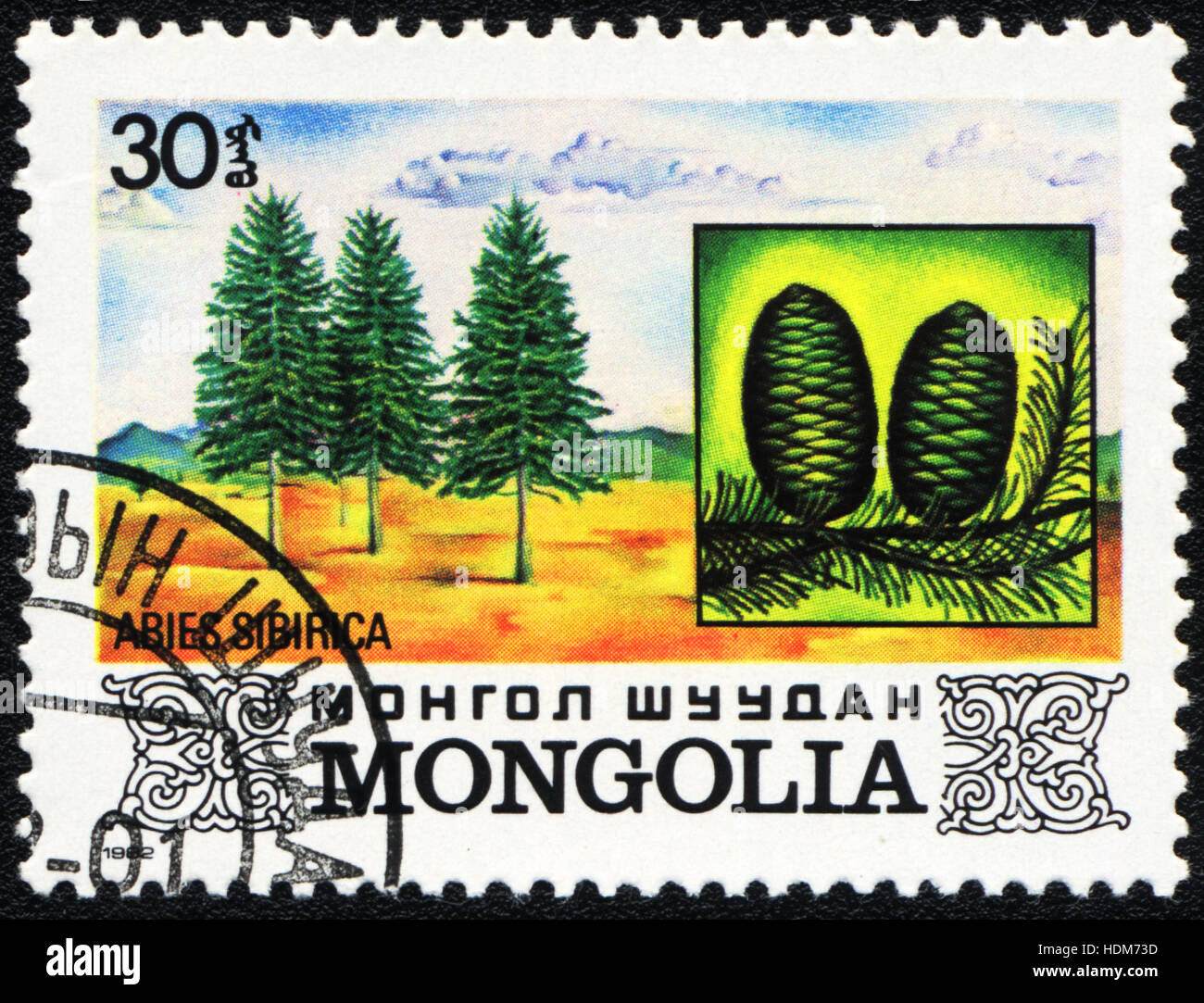 Un francobollo stampato in Mongolia mostra un Abies Sibirica, 1982 Foto Stock