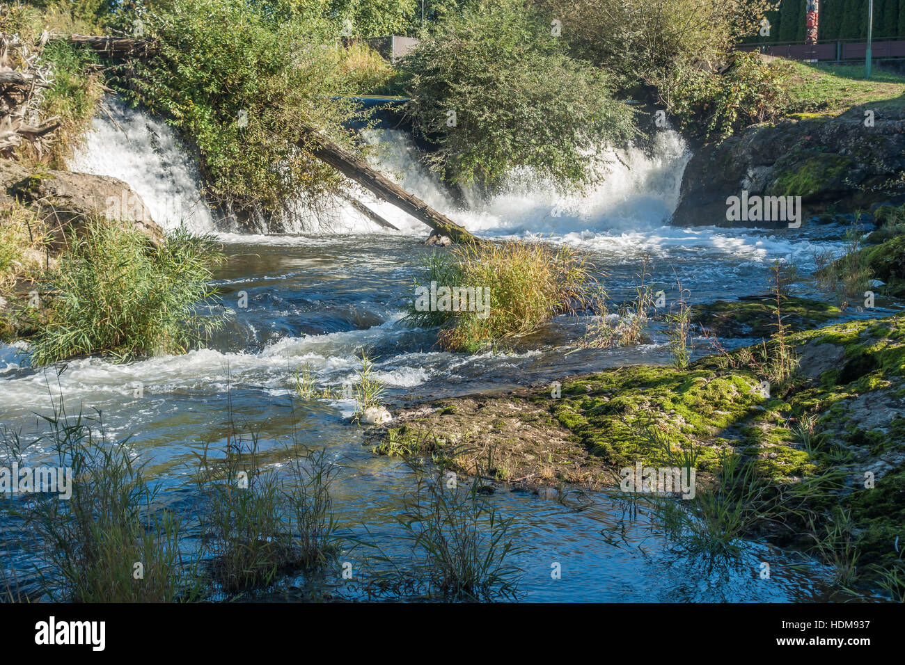 Closeup shot di una sezione di Tumwater cade con boccole appesa sopra l'acqua. Foto Stock