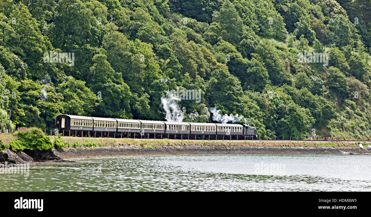 Treno a vapore che corre lungo le rive del fiume Dart, Devon, Regno Unito. Foto Stock