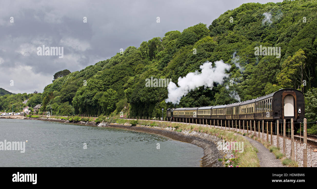 Treno a vapore che corre lungo la riva del fiume Dart, Devon, Inghilterra, Regno Unito. Foto Stock