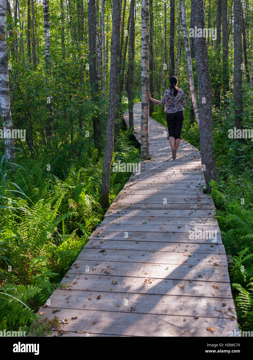 Percorso di legno estone Parco Nazionale. Il Footbridge attraverso la palude della foresta Foto Stock