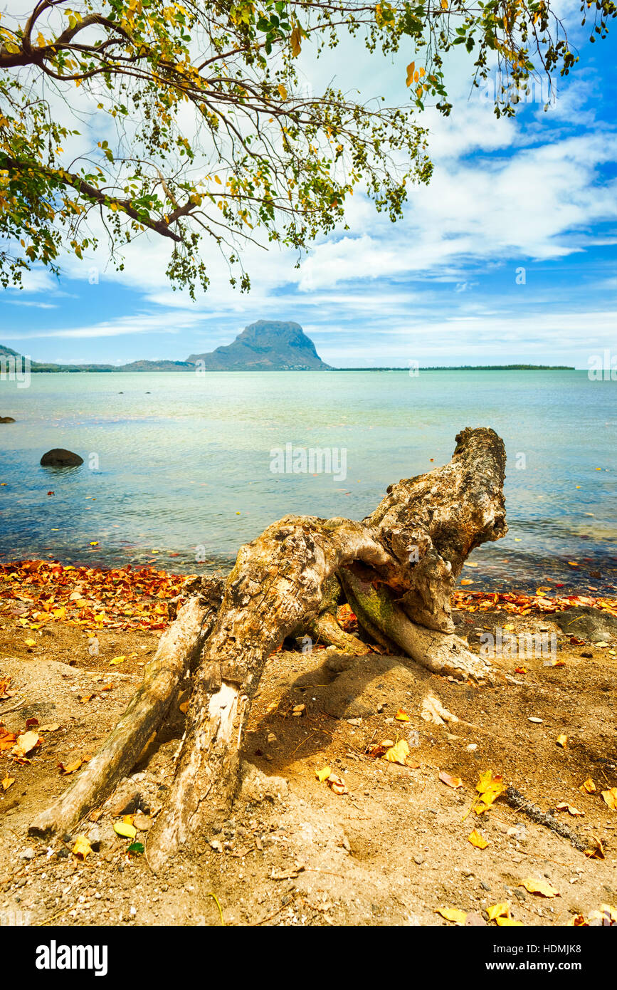Seascape. Le Morne su uno sfondo. Maurizio Foto Stock