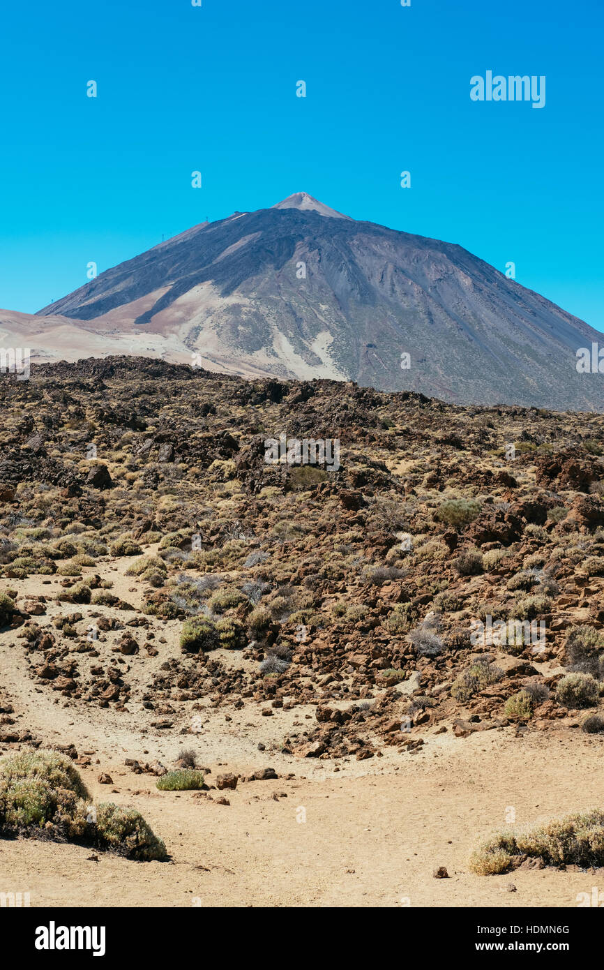 Il monte Vulcano Teide, Tenerife, Isole canarie, Spagna Foto Stock