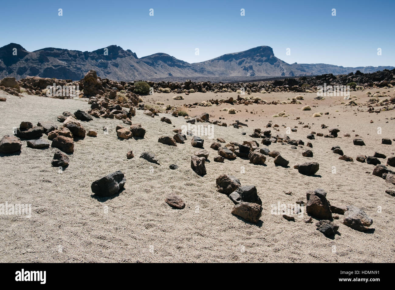 Parco Nazionale del Teide, Tenerife, Isole Canarie, Spagna Foto Stock