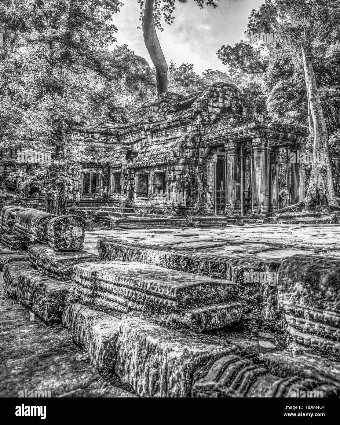 Litografica tipo di visualizzazione bianco e nero della piattaforma all'ingresso est di Ta Prohm tempio complesso a Siem Reap, Cambogia. Foto Stock