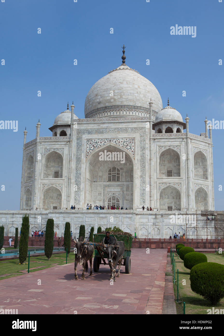 Carrello di giovenco davanti al Taj Mahal Agra,Uttar Pradesh, India, Foto Stock