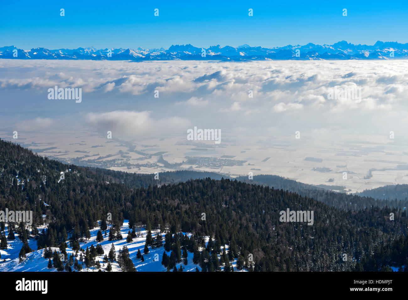 Vista da La Dole picco, copertura nuvolosa sopra il Lago di Ginevra e sulle Alpi del Vallese dietro, Saint-Cergue, del Giura, il Cantone di Vaud, Svizzera Foto Stock