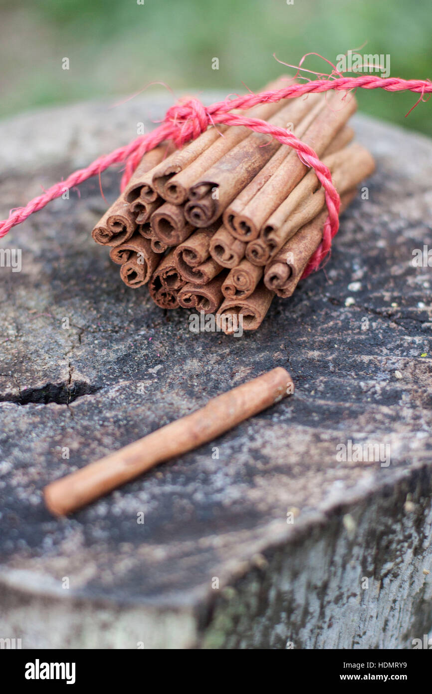 Bastoni cinnamom in uno sfondo rustico Foto Stock