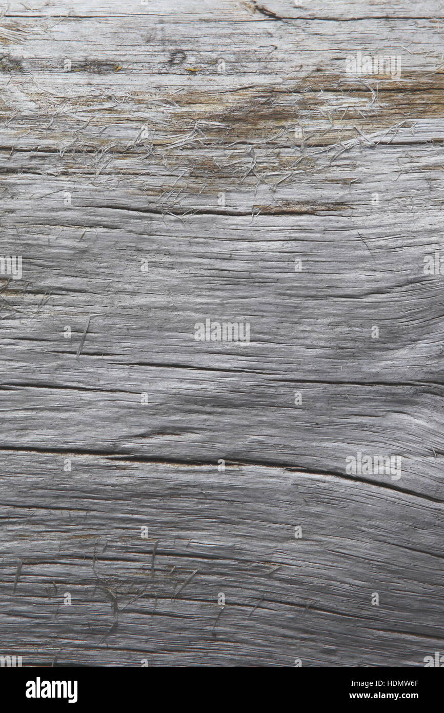 Legno Grigio Texture Con Modelli Naturali Dello Sfondo Questa E La Deriva Del Registro Di Legno Lavato Fino A Spiaggia Foto Stock Alamy